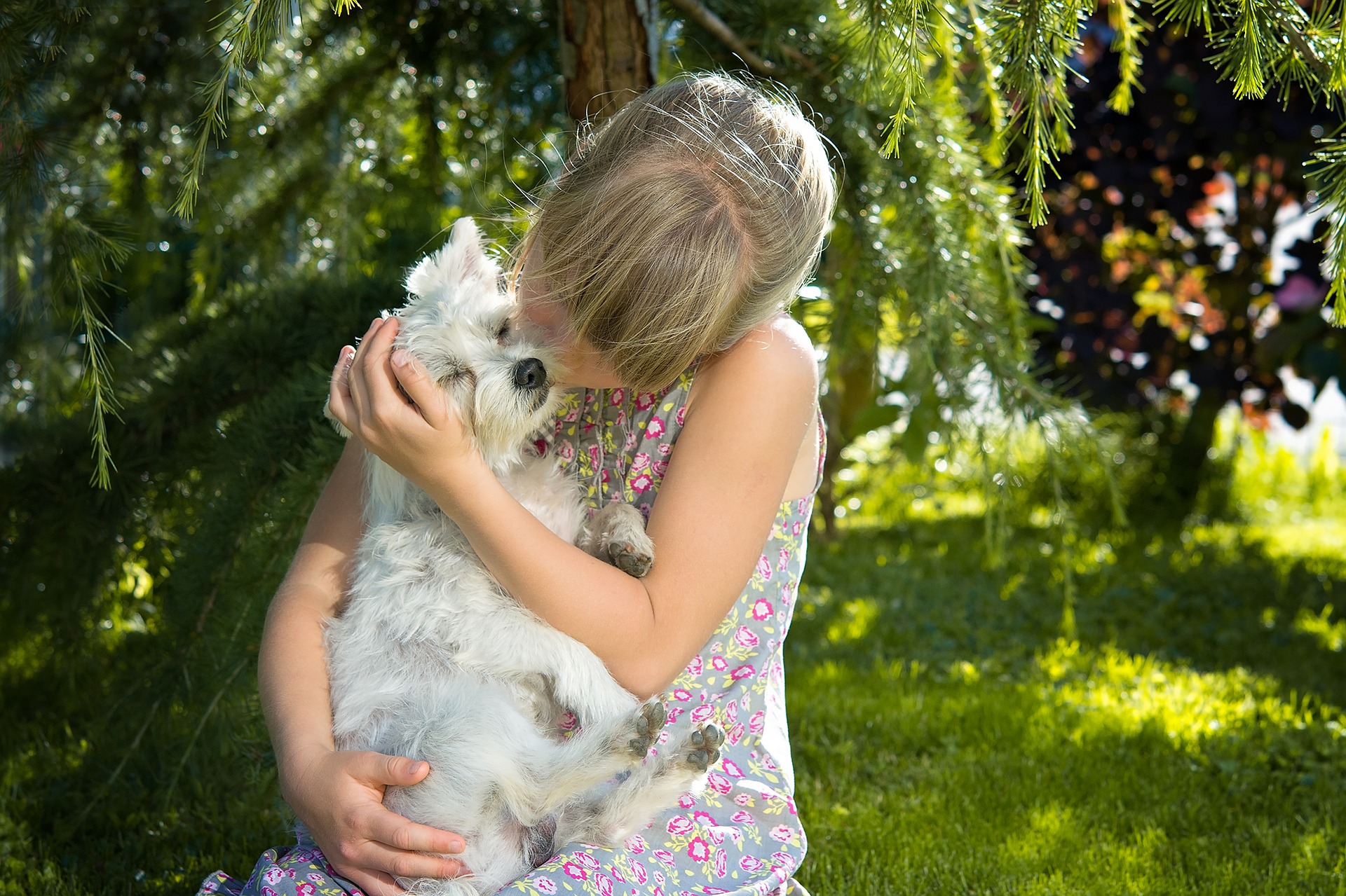 niña con perro