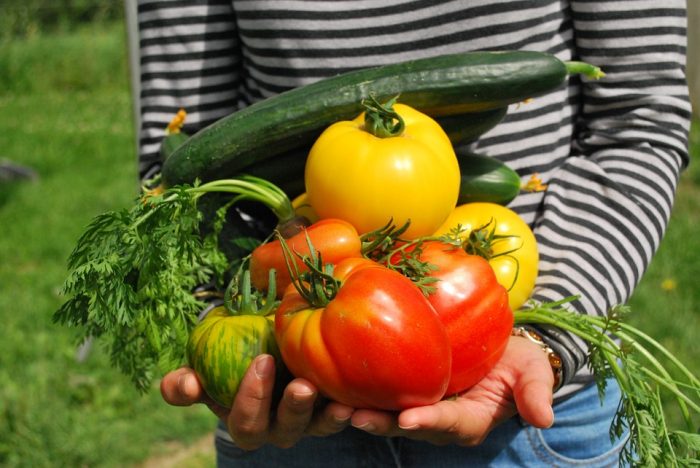 vegetales de la huerta