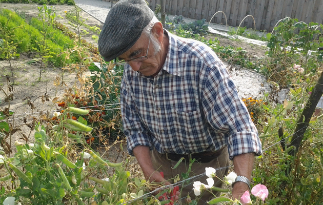 hombre en la huerta