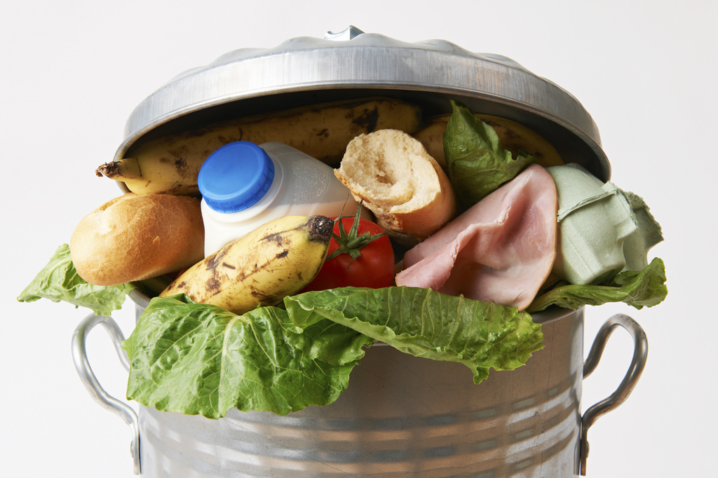 desperdicios de alimentos