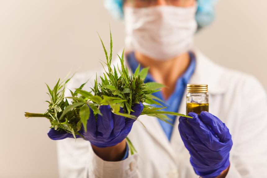 doctor muestra cannabis medicinal