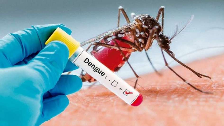 Dengue: ¿Por qué fracasan las políticas de prevención?