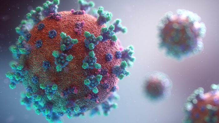 test de coronavirus