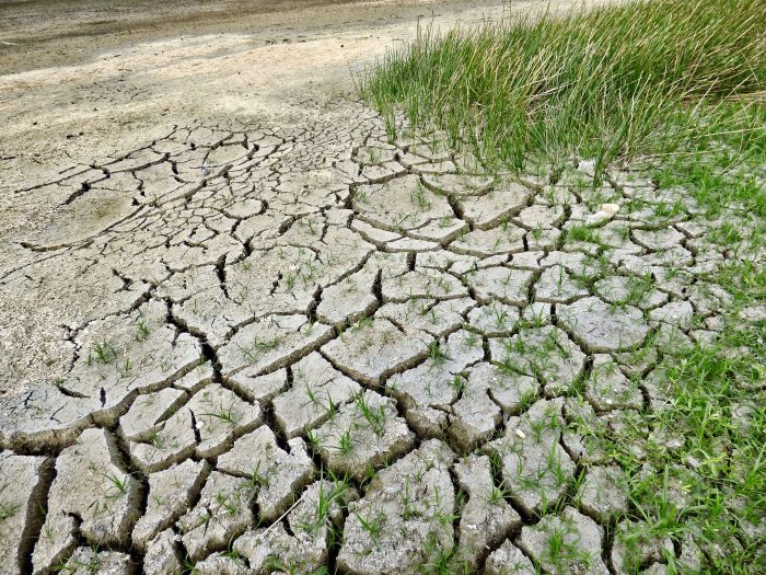 Sequía en en suelo por cambio climático