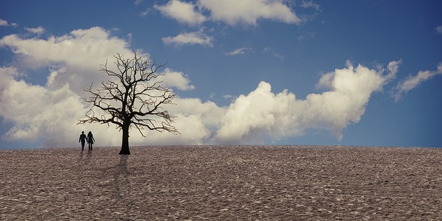 campo con sequía por el cambio climático