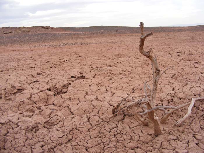 Desertificación en Argentina