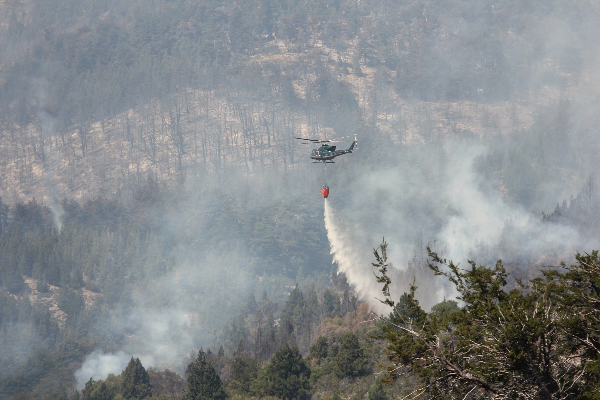 incendio forestal