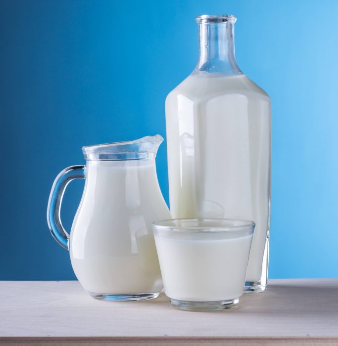Leche y lácteos