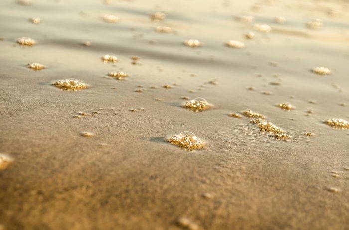 bacterias peligrosas en las playas