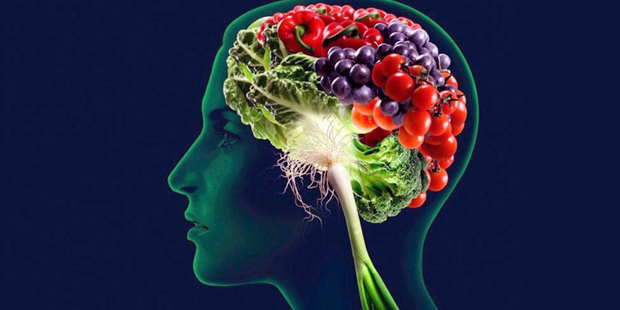 cerebro con frutas y hortalizas saludables