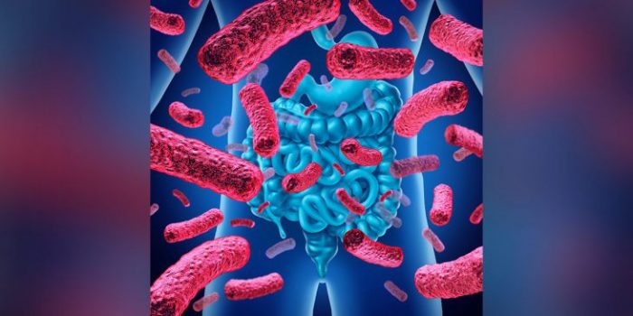 microbioma intestinal