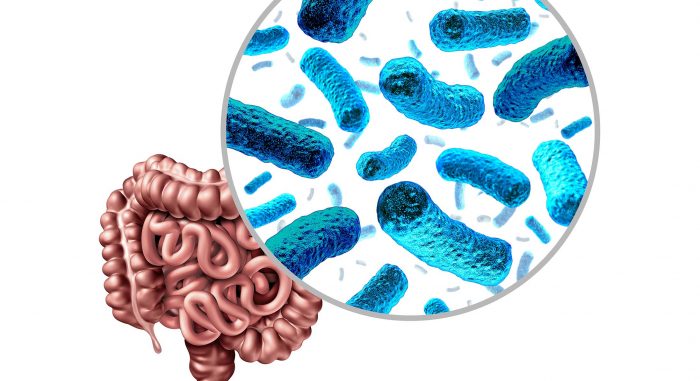microbiótica