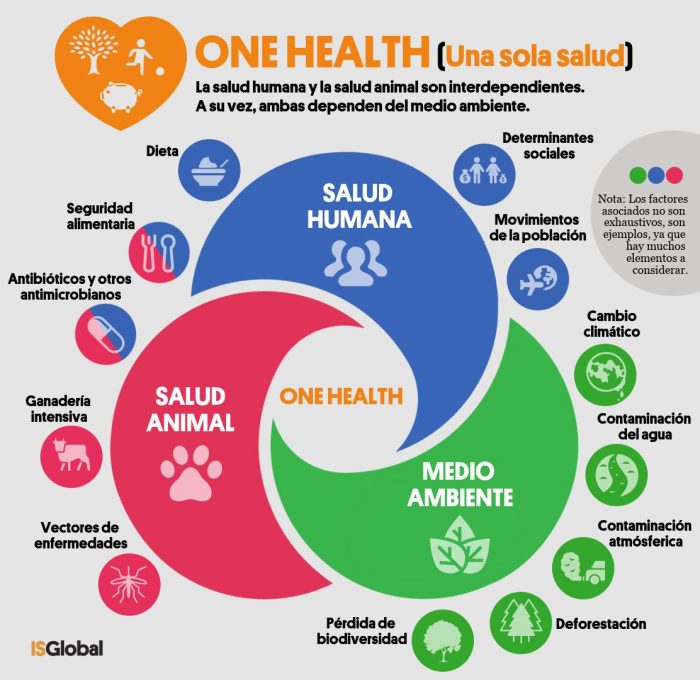 Gráfico explicativo sobre el enfoque Una Salud