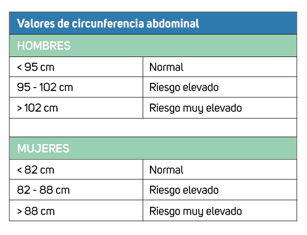 circunsferencia abdominal