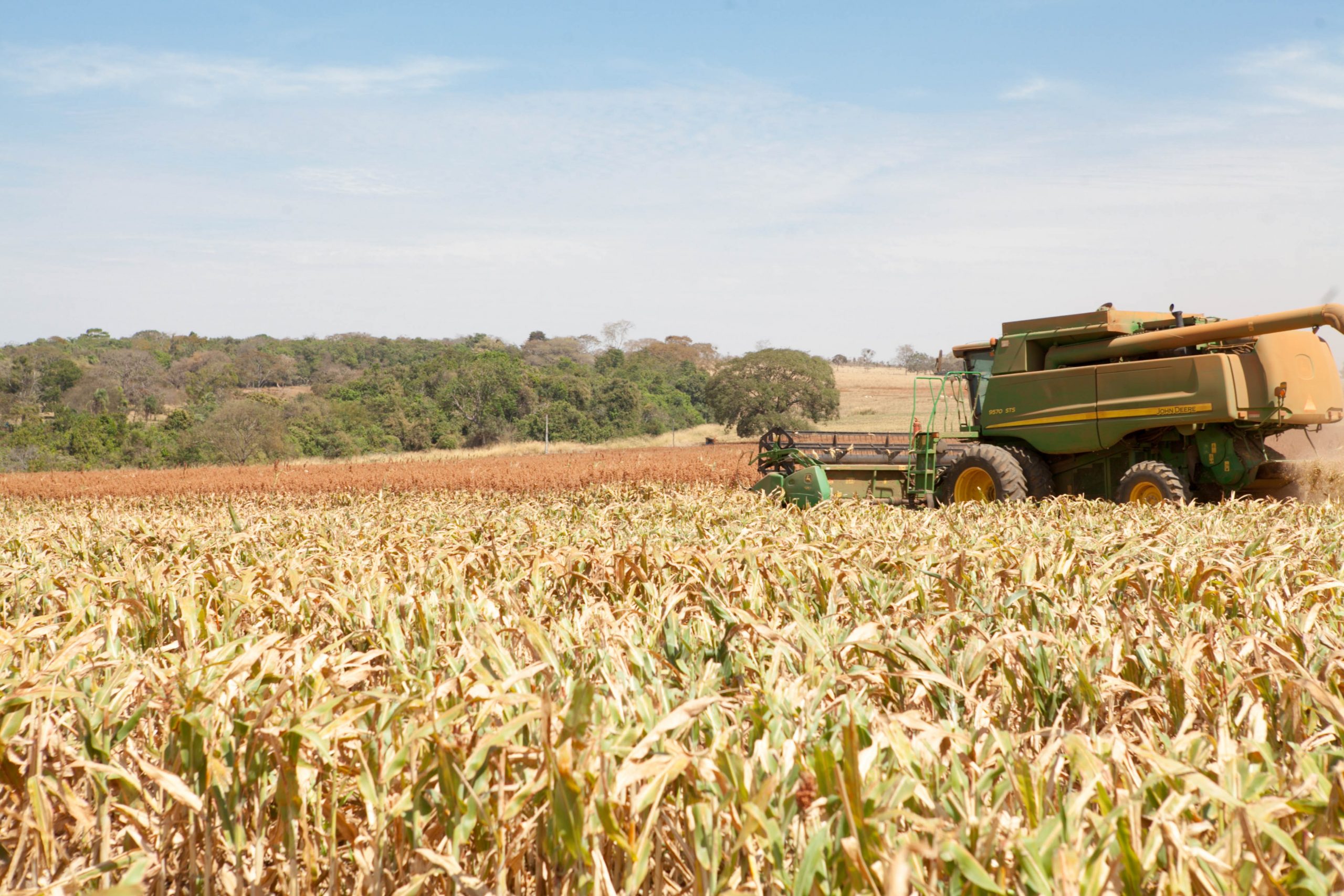 produccion de alimentos global