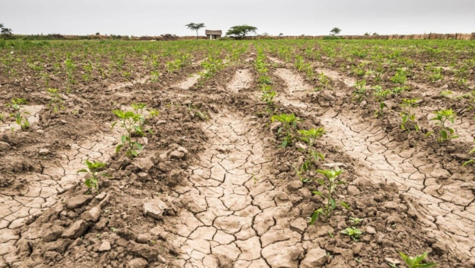Sequía agrícola